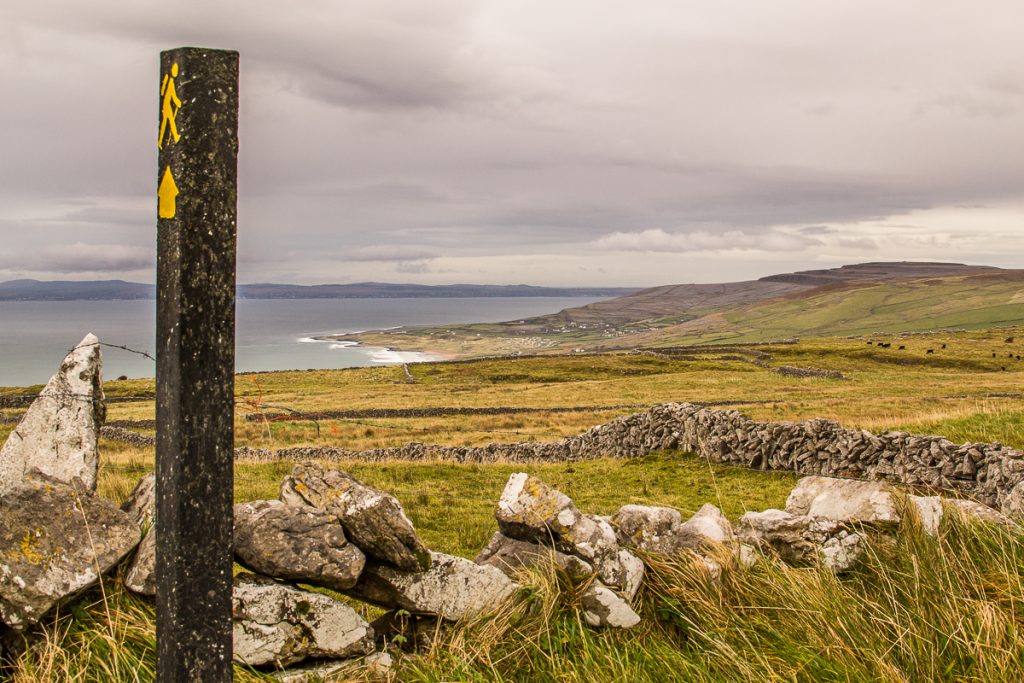 A waymarker for the Burren Way above Galway Bay. Black Head behind green fields and drystone walls