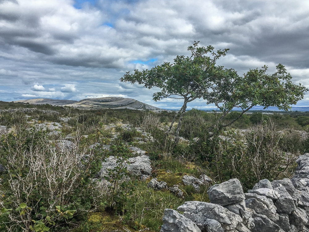A view over the karst landscape towards Mullaghmore. A view from the start of the Lough Avalla Loop Walk