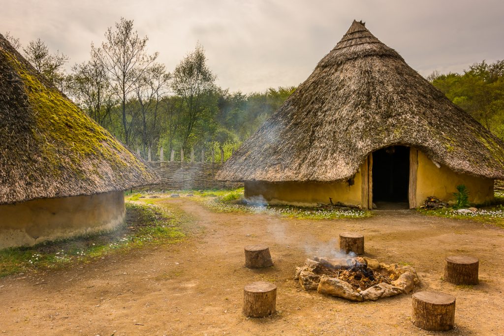 A couple of huts on the crannog at Cragganowen. They have wattel walls and a straw roof which reaches almost down to the ground. A fire smouldering outdoors with tree trunk stools around it.