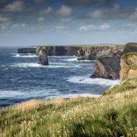 The Kilkee cliffs with waves and grasses blowing in the breeze. The Clare coastline.