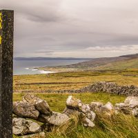 A waymarker for the Burren Way above Galway Bay. Black Head behind green fields and drystone walls