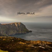 horn head-1 copy