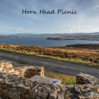 picnic horn head-1 copy