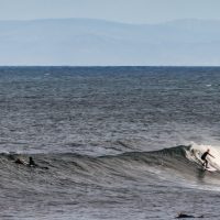 surf header (1 of 1)-3