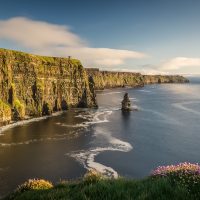 The Cliffs of Moher with it's famous sea stack and sea pinks in the foreground
